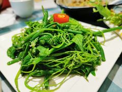 凉拌龙须菜-南来顺饭庄·清真(南菜园店)