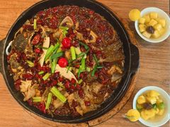 -老板恋上鱼(恒隆广场店)