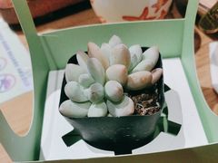 -四季餐厅·新津菜(环湖中路店)