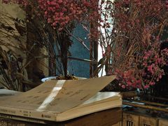 -斯多格书乡(北京大学畅春园店)