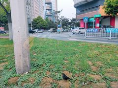 -鲍师傅糕点(国金街店)