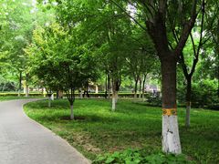 -丰台花园