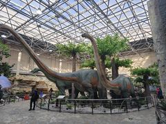 -国家自然博物馆