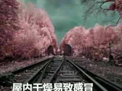 -胡仁根胡记炸炸炸