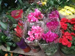 -花市豌杂面(民生路店)