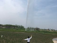 -洪湖湿地生态园