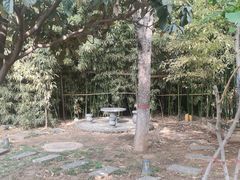 -洛阳周公庙博物馆