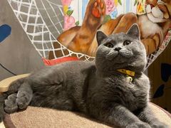 吐司-么么咖啡(燕郊店)