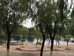 游乐设施-青龙湖公园