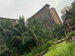 -三亚湾红树林度假世界(木棉酒店)