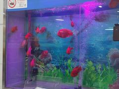 -雅悦齿科(顾村公园店)