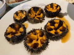 活海胆-雍和会海鲜姿造自助(湖东路店)