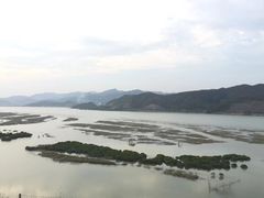 -北岐滩涂