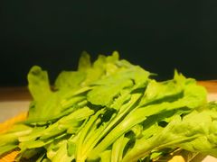茼蒿菜-鲜潭蒸汽石锅鱼(五道口购物中心店)