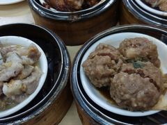 -新志兴至尊烧鹅大王