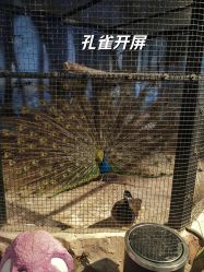 -酷嗒动物文化乐园(cutezoo西溪乐天城店)