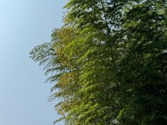 -塔川景区