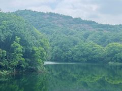 -白马涧龙池景区