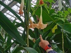 -国家植物园南园