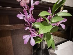 -南麓·浙里(外滩店)