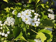 -意大利农场度假村