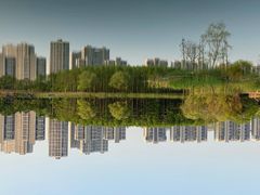 -昆山城市生态森林公园