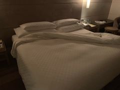 -西贡日航酒店