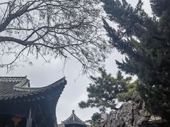 -何园