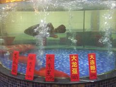 -龙悦湾酒家·八阵鱼生·渔人码头店