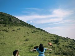 -大姆山草场