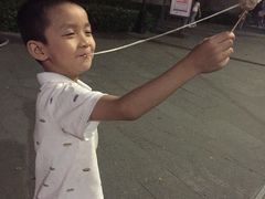 -无影脚佛山陈氏盲公丸始创店(飞鸿街店)