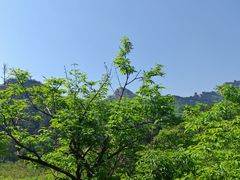 -青岩寺风景区