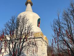 -护国法轮寺