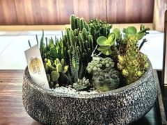 -70後铁锅炖(坡博总店)