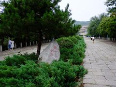 -府君山公园
