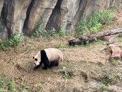-宁波野生动物园