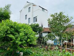 -金山嘴渔村