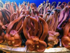 -上海海洋水族馆