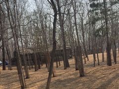 -秦皇岛野生动物园