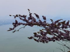-抚仙湖禄充风景区