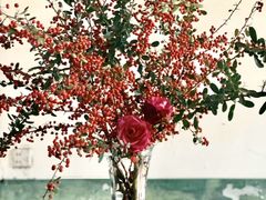 -终南山国家森林公园