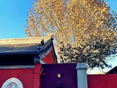 -嵩祝寺及智珠寺
