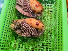 -阿里元海鲜·闽南特色菜(曾厝垵店)