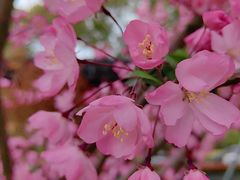 -金典银峰老鹅馆·昆山菜(亭林公园店)