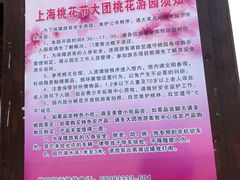 -南汇水蜜桃采摘(大团店)