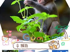 -三亚市图书馆