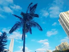 -深圳楚天大酒店(福田口岸深圳会展中心店)