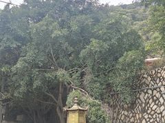 -草庵摩尼教遗址公园