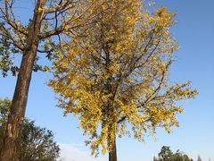 -宁波儿童公园(鄞州区)