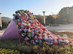 -白马涧龙池景区